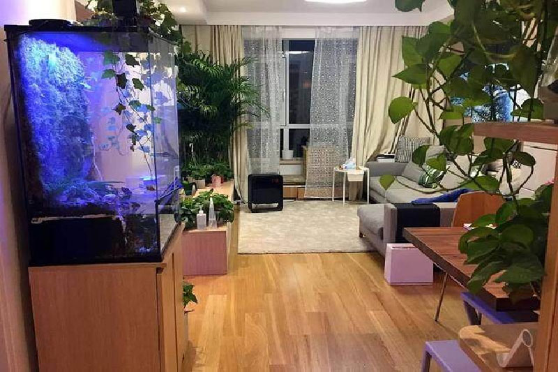 鱼缸摆在财位